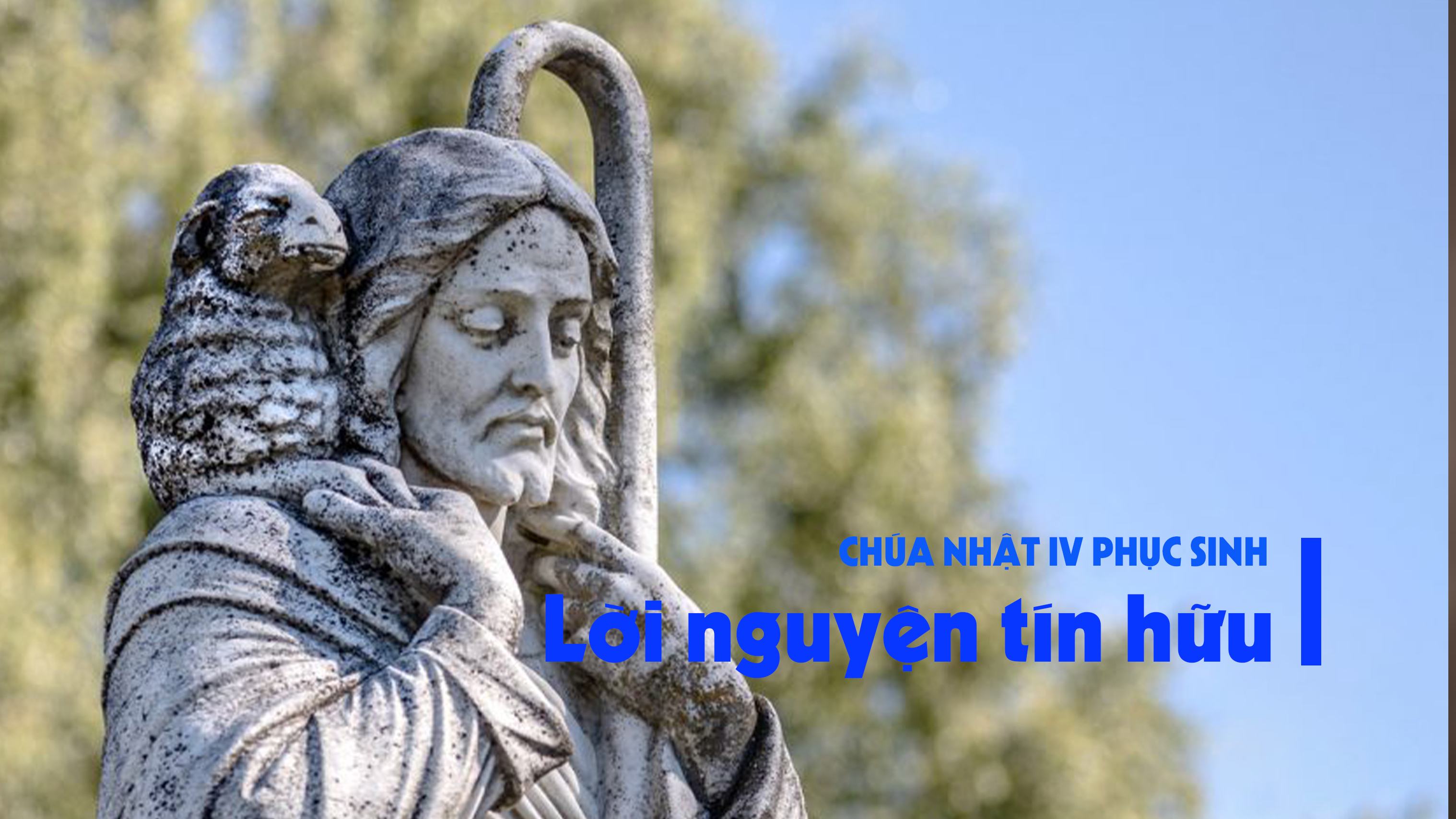 Lời nguyện tín hữu - Chúa nhật IV Phục Sinh